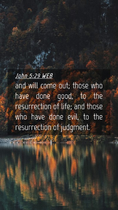 Picture 04 - John 5:29 WEB Mobile Phone Wallpaper - and will come out; those who have done good, to - Mobile Bible Verse Wallpaper
