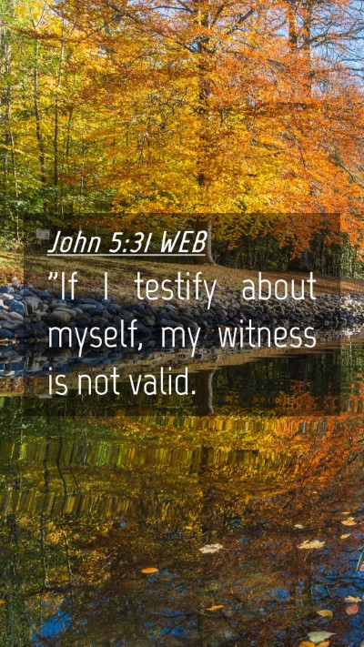 Picture 04 - John 5:31 WEB Mobile Phone Wallpaper - 