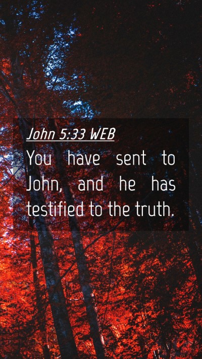 Picture 04 - John 5:33 WEB Mobile Phone Wallpaper - You have sent to John, and he has testified to - Mobile Bible Verse Wallpaper