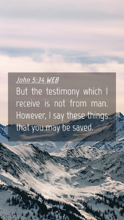 Picture 04 - John 5:34 WEB Mobile Phone Wallpaper - But the testimony which I receive is not from - Mobile Bible Verse Wallpaper