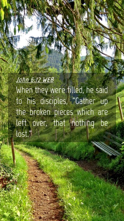 Picture 04 - John 6:12 WEB Mobile Phone Wallpaper - When they were filled, he said to his disciples, - Mobile Bible Verse Wallpaper