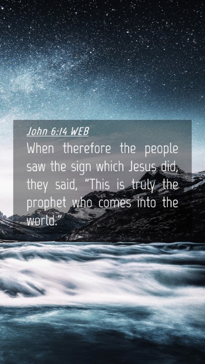 Picture 04 - John 6:14 WEB Mobile Phone Wallpaper - When therefore the people saw the sign which - Mobile Bible Verse Wallpaper
