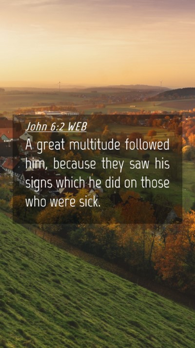 Picture 04 - John 6:2 WEB Mobile Phone Wallpaper - A great multitude followed him, because they saw - Mobile Bible Verse Wallpaper