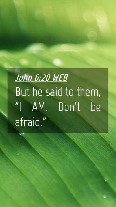 Picture 04 - John 6:20 WEB Mobile Phone Wallpaper - But he said to them, 