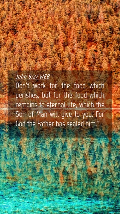 Picture 04 - John 6:27 WEB Mobile Phone Wallpaper - Don't work for the food which perishes, but for - Mobile Bible Verse Wallpaper