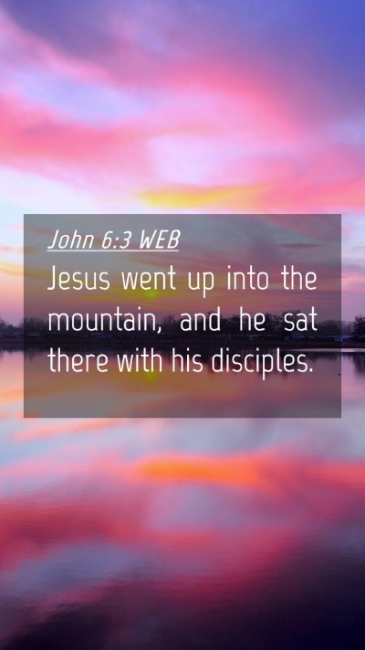 Picture 04 - John 6:3 WEB Mobile Phone Wallpaper - Jesus went up into the mountain, and he sat there - Mobile Bible Verse Wallpaper