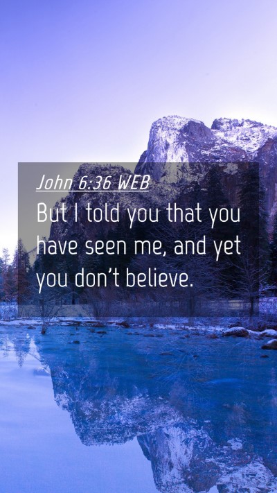 Picture 04 - John 6:36 WEB Mobile Phone Wallpaper - But I told you that you have seen me, and yet you - Mobile Bible Verse Wallpaper