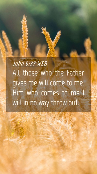Picture 04 - John 6:37 WEB Mobile Phone Wallpaper - All those who the Father gives me will come to - Mobile Bible Verse Wallpaper