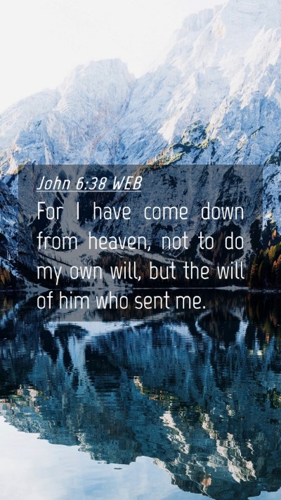 Picture 04 - John 6:38 WEB Mobile Phone Wallpaper - For I have come down from heaven, not to do my - Mobile Bible Verse Wallpaper