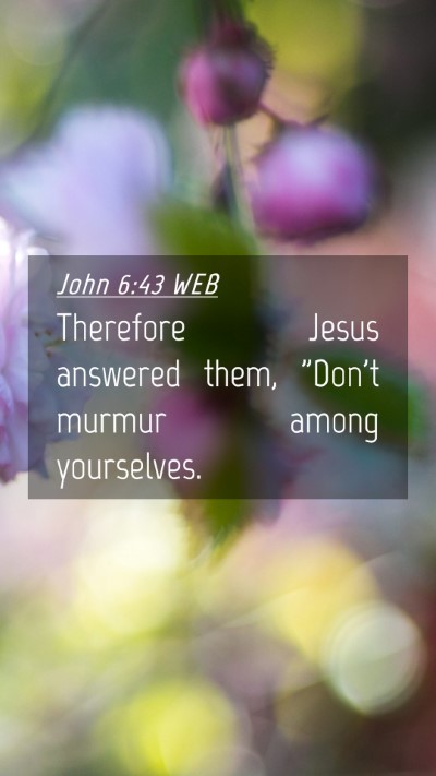 Picture 04 - John 6:43 WEB Mobile Phone Wallpaper - Therefore Jesus answered them, 