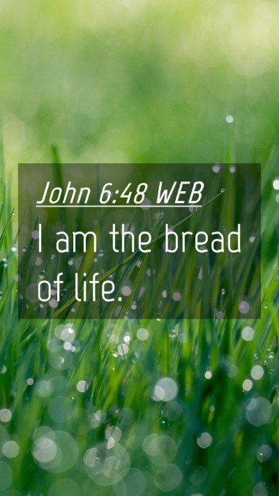 Picture 04 - John 6:48 WEB Mobile Phone Wallpaper - I am the bread of - Mobile Bible Verse Wallpaper