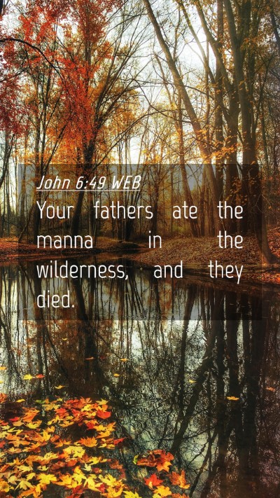 Picture 04 - John 6:49 WEB Mobile Phone Wallpaper - Your fathers ate the manna in the wilderness, and - Mobile Bible Verse Wallpaper