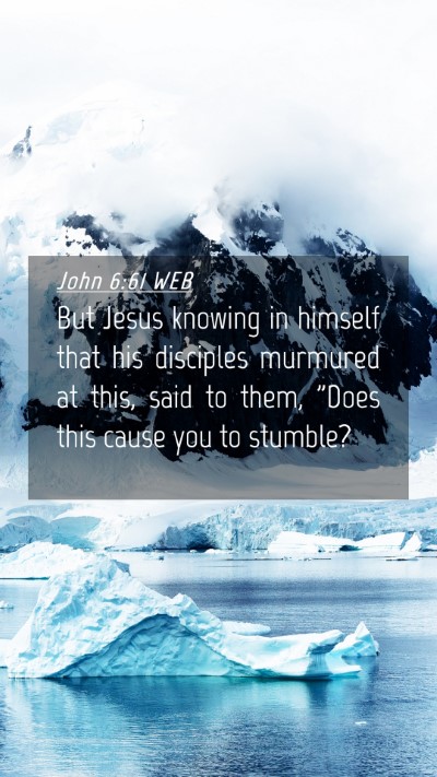 Picture 04 - John 6:61 WEB Mobile Phone Wallpaper - But Jesus knowing in himself that his disciples - Mobile Bible Verse Wallpaper
