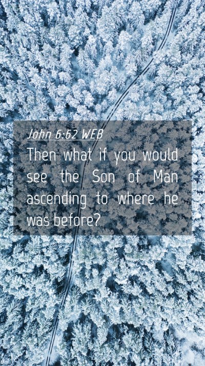 Picture 04 - John 6:62 WEB Mobile Phone Wallpaper - Then what if you would see the Son of Man - Mobile Bible Verse Wallpaper