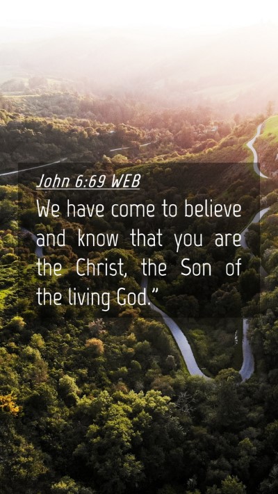Picture 04 - John 6:69 WEB Mobile Phone Wallpaper - We have come to believe and know that you are the - Mobile Bible Verse Wallpaper