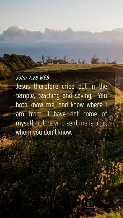 Picture 04 - John 7:28 WEB Mobile Phone Wallpaper - Jesus therefore cried out in the temple, teaching - Mobile Bible Verse Wallpaper