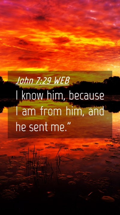 Picture 04 - John 7:29 WEB Mobile Phone Wallpaper - I know him, because I am from him, and he sent - Mobile Bible Verse Wallpaper