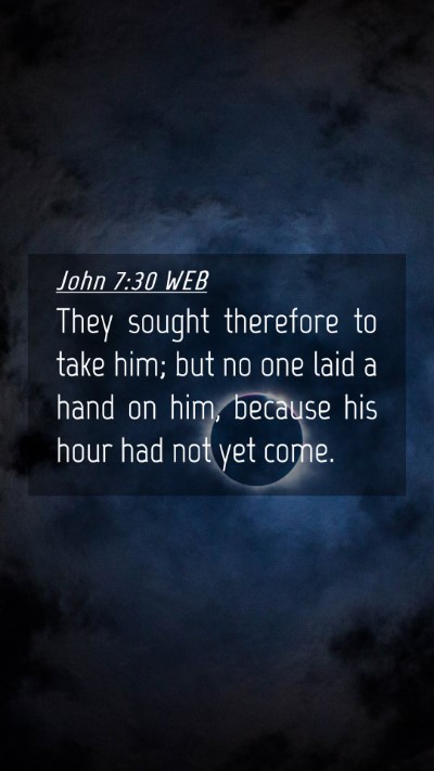Picture 04 - John 7:30 WEB Mobile Phone Wallpaper - They sought therefore to take him; but no one - Mobile Bible Verse Wallpaper