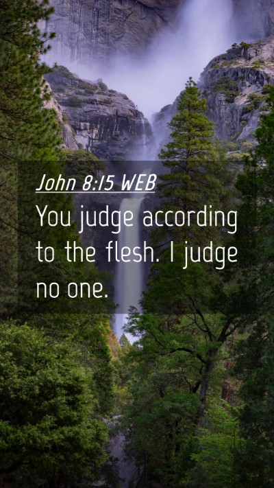 Picture 04 - John 8:15 WEB Mobile Phone Wallpaper - You judge according to the flesh. I judge no - Mobile Bible Verse Wallpaper
