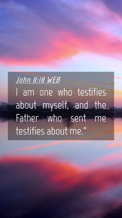 Picture 04 - John 8:18 WEB Mobile Phone Wallpaper - I am one who testifies about myself, and the - Mobile Bible Verse Wallpaper