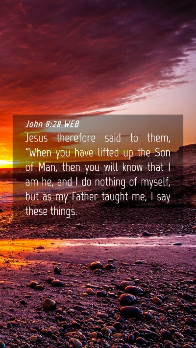 Picture 04 - John 8:28 WEB Mobile Phone Wallpaper - Jesus therefore said to them, 