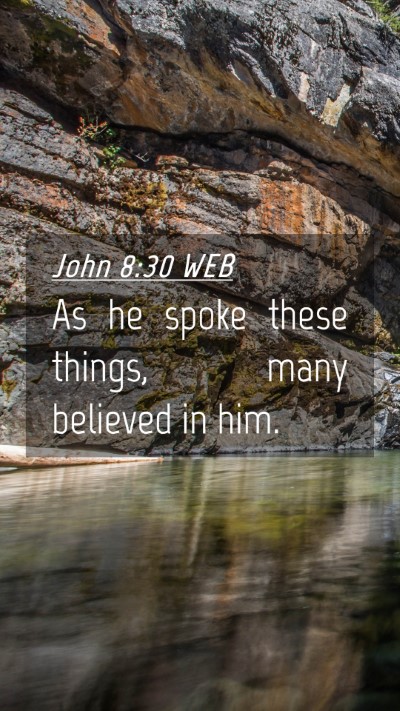 Picture 04 - John 8:30 WEB Mobile Phone Wallpaper - As he spoke these things, many believed in - Mobile Bible Verse Wallpaper
