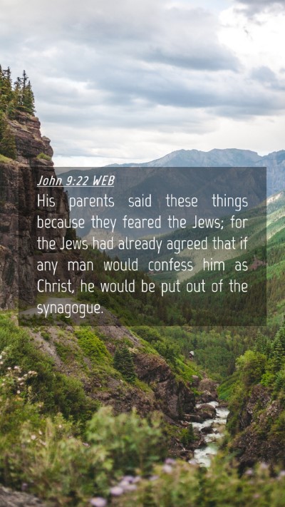 Picture 04 - John 9:22 WEB Mobile Phone Wallpaper - His parents said these things because they feared - Mobile Bible Verse Wallpaper