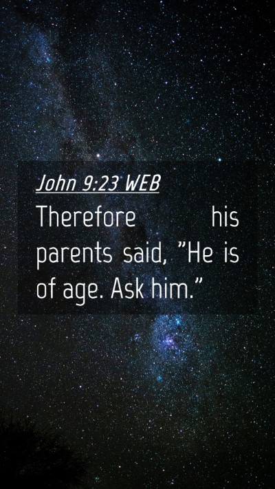 Picture 04 - John 9:23 WEB Mobile Phone Wallpaper - Therefore his parents said, 