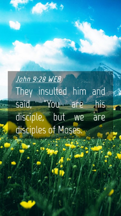 Picture 04 - John 9:28 WEB Mobile Phone Wallpaper - They insulted him and said, 