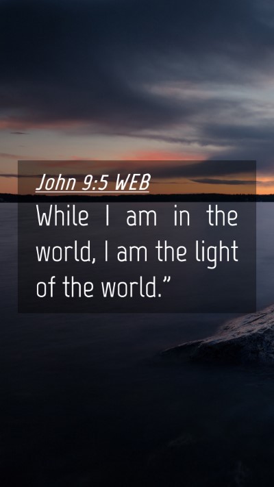 Picture 04 - John 9:5 WEB Mobile Phone Wallpaper - While I am in the world, I am the light of the - Mobile Bible Verse Wallpaper