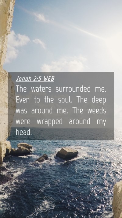 Picture 04 - Jonah 2:5 WEB Mobile Phone Wallpaper - The waters surrounded me, Even to the soul. The - Mobile Bible Verse Wallpaper