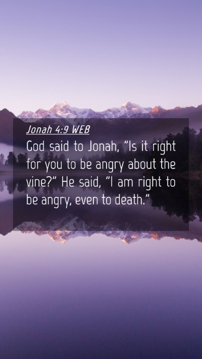 Picture 04 - Jonah 4:9 WEB Mobile Phone Wallpaper - God said to Jonah, 