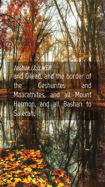 Picture 04 - Joshua 13:11 WEB Mobile Phone Wallpaper - and Gilead, and the border of the Geshurites and - Mobile Bible Verse Wallpaper