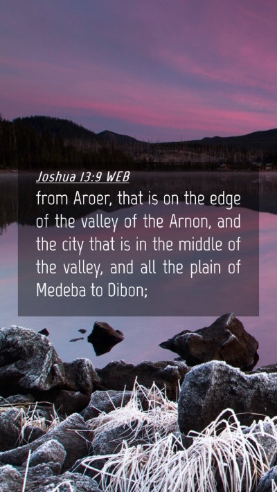 Picture 04 - Joshua 13:9 WEB Mobile Phone Wallpaper - from Aroer, that is on the edge of the valley of - Mobile Bible Verse Wallpaper