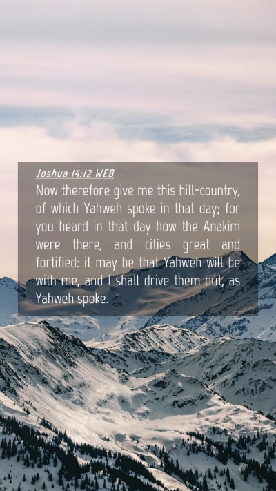 Picture 04 - Joshua 14:12 WEB Mobile Phone Wallpaper - Now therefore give me this hill-country, of which - Mobile Bible Verse Wallpaper