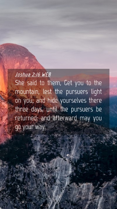 Picture 04 - Joshua 2:16 WEB Mobile Phone Wallpaper - She said to them, Get you to the mountain, lest - Mobile Bible Verse Wallpaper