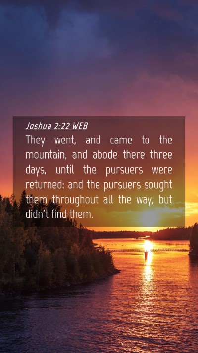 Picture 04 - Joshua 2:22 WEB Mobile Phone Wallpaper - They went, and came to the mountain, and abode - Mobile Bible Verse Wallpaper