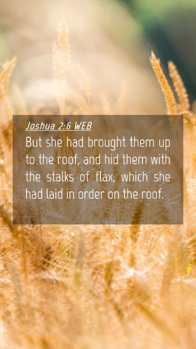 Picture 04 - Joshua 2:6 WEB Mobile Phone Wallpaper - But she had brought them up to the roof, and hid - Mobile Bible Verse Wallpaper