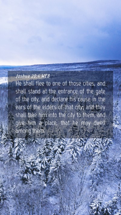 Picture 04 - Joshua 20:4 WEB Mobile Phone Wallpaper - He shall flee to one of those cities, and shall - Mobile Bible Verse Wallpaper