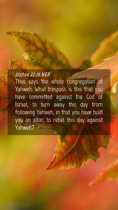 Picture 04 - Joshua 22:16 WEB Mobile Phone Wallpaper - Thus says the whole congregation of Yahweh, What - Mobile Bible Verse Wallpaper