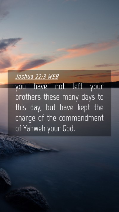 Picture 04 - Joshua 22:3 WEB Mobile Phone Wallpaper - you have not left your brothers these many days - Mobile Bible Verse Wallpaper