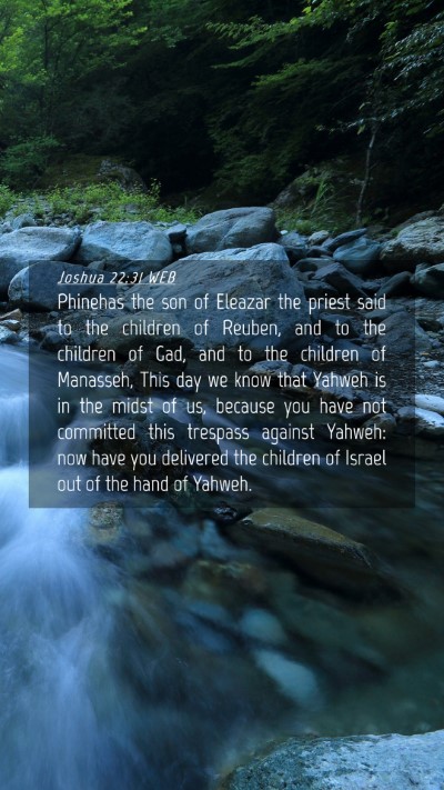 Picture 04 - Joshua 22:31 WEB Mobile Phone Wallpaper - Phinehas the son of Eleazar the priest said to - Mobile Bible Verse Wallpaper