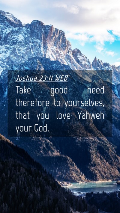 Picture 04 - Joshua 23:11 WEB Mobile Phone Wallpaper - Take good heed therefore to yourselves, that you - Mobile Bible Verse Wallpaper