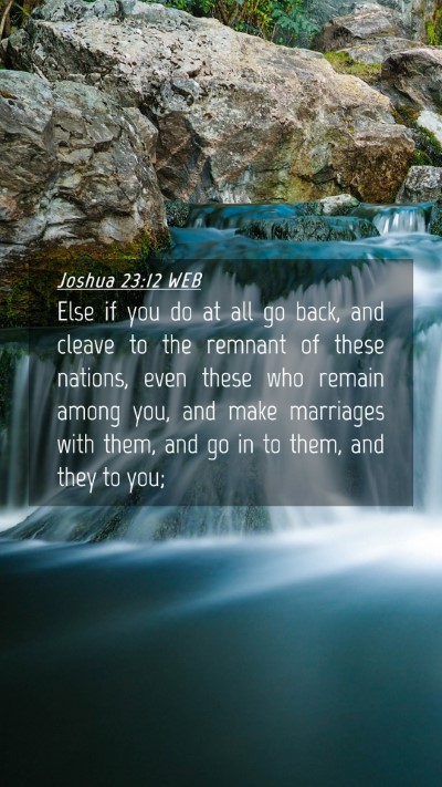 Picture 04 - Joshua 23:12 WEB Mobile Phone Wallpaper - Else if you do at all go back, and cleave to the - Mobile Bible Verse Wallpaper