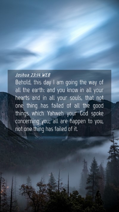 Picture 04 - Joshua 23:14 WEB Mobile Phone Wallpaper - Behold, this day I am going the way of all the - Mobile Bible Verse Wallpaper