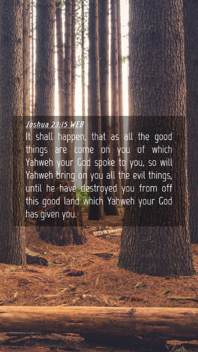 Picture 04 - Joshua 23:15 WEB Mobile Phone Wallpaper - It shall happen, that as all the good things are - Mobile Bible Verse Wallpaper