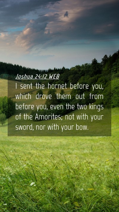 Picture 04 - Joshua 24:12 WEB Mobile Phone Wallpaper - I sent the hornet before you, which drove them - Mobile Bible Verse Wallpaper