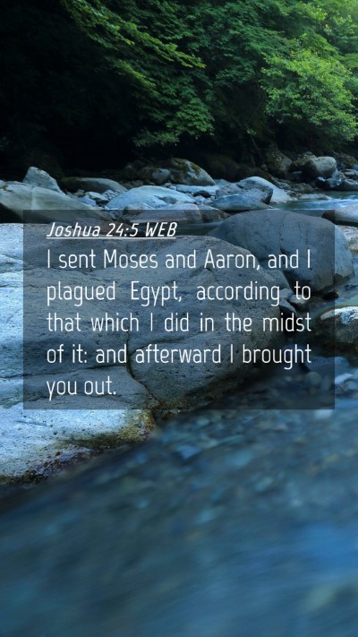 Picture 04 - Joshua 24:5 WEB Mobile Phone Wallpaper - I sent Moses and Aaron, and I plagued Egypt, - Mobile Bible Verse Wallpaper