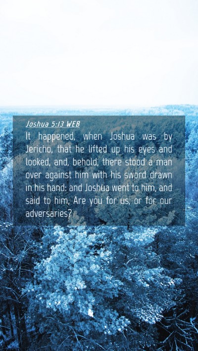 Picture 04 - Joshua 5:13 WEB Mobile Phone Wallpaper - It happened, when Joshua was by Jericho, that he - Mobile Bible Verse Wallpaper