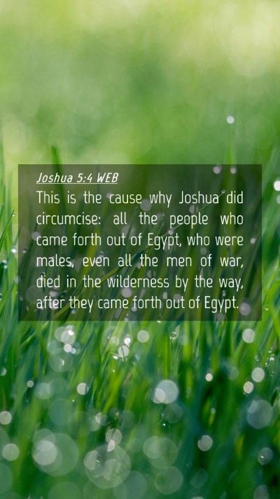 Picture 04 - Joshua 5:4 WEB Mobile Phone Wallpaper - This is the cause why Joshua did circumcise: all - Mobile Bible Verse Wallpaper